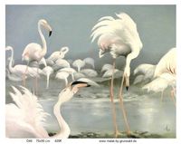 &Ouml;76 Flamingogruppe