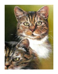 Katzenportrait in Acryl