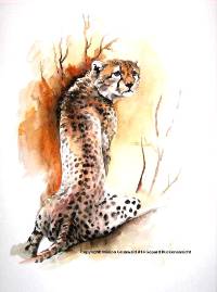 Aquarell Gepard R&uuml;ckenansicht, Ani(Mal)-Art