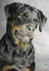 Aquarell Hundeportrait, Rottweiler, Ani(Mal)-Art