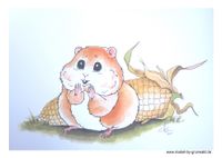 Hamster hamstert Mais, Buntstiftzeichnung, Grunwald