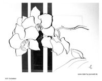 E01 Orchideen - Kopie