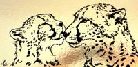 E13 Gepard Katzenw&auml;sche gold - Kopie